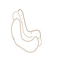 hot dog drawing by pixie in Artbitrator