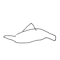great white shark drawing by thisisme in Artbitrator