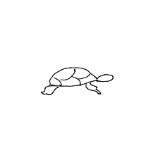 sea turtle drawing by thisisme in Artbitrator