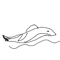 dolphin drawing by thisisme in Artbitrator