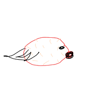 pufferfish drawing by thisisme in Artbitrator