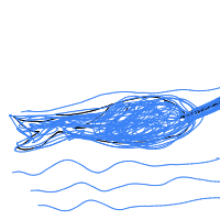 narwhal drawing by thisisme in Artbitrator
