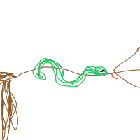 snake on branch drawing by thisisme in Artbitrator