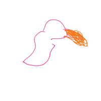 toucan drawing by thisisme in Artbitrator