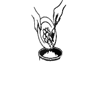 throwing food drawing by ozo7 in Artbitrator