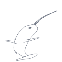narwhal drawing by minimin in Artbitrator