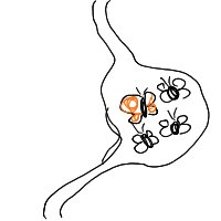 butterflies in stomach drawing by eekler in Artbitrator