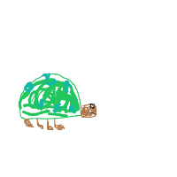 sea turtle drawing by zaynah in Artbitrator