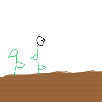 plant growing timelapse drawing by datsddaddy in Artbitrator