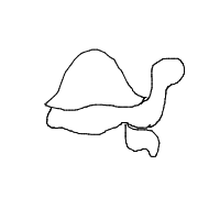 shy turtle drawing by badatdrawing in Artbitrator