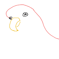 parrot drawing by adhdisomfg in Artbitrator