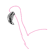 flamingo drawing by adhdisomfg in Artbitrator