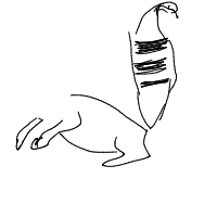 lemur drawing by adhdisomfg in Artbitrator