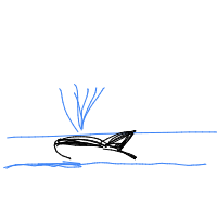 whale breaching drawing by adhdisomfg in Artbitrator