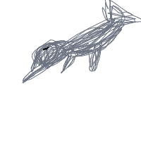 dolphin drawing by adhdisomfg in Artbitrator