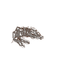 sleeping cat drawing by damianxx in Artbitrator
