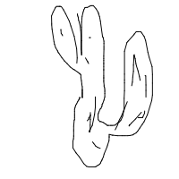 dancing cactus drawing by 9ghj23 in Artbitrator