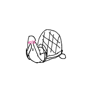shy turtle drawing by hevsusername in Artbitrator