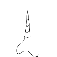unicorn drawing by raniashusband in Artbitrator