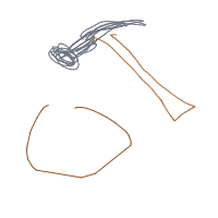 hammerhead drawing by adhdisomfg in Artbitrator