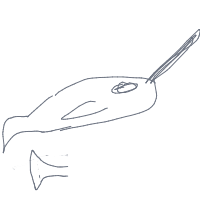 narwhal drawing by adhdisomfg in Artbitrator