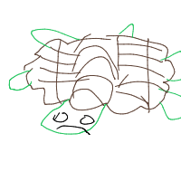 shy turtle drawing by lucasmd1996 in Artbitrator