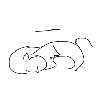 sleeping cat drawing by kamibaine in Artbitrator