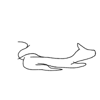 sleepy dog drawing by kamibaine in Artbitrator