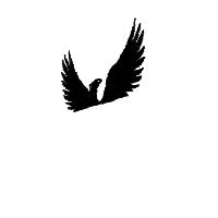 phoenix drawing by quanganh in Artbitrator