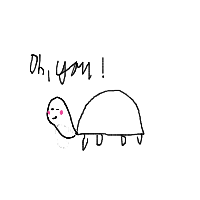shy turtle drawing by petg in Artbitrator
