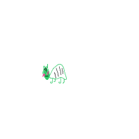 shy turtle drawing by anett in Artbitrator