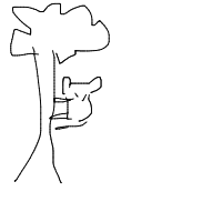 koala hugging tree drawing by xman in Artbitrator