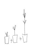 plant growing timelapse drawing by bensie in Artbitrator