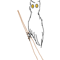 confused owl drawing by rexythedog in Artbitrator
