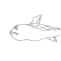grumpy fish drawing by rexythedog in Artbitrator
