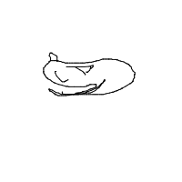 sleeping cat drawing by pacmanisover9000 in Artbitrator