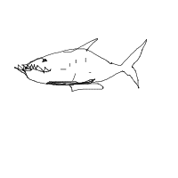 great white shark drawing by cwizards in Artbitrator