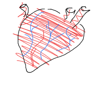 heart drawing by samsch in Artbitrator