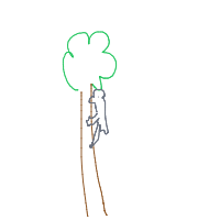 koala hugging tree drawing by hira in Artbitrator