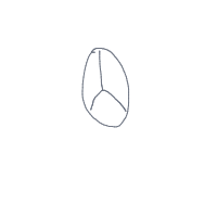peace drawing by hira in Artbitrator