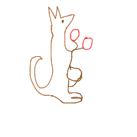 kangaroo boxing drawing by pranjal_34 in Artbitrator
