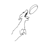 dog catching frisbee drawing by stev in Artbitrator