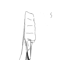 thumbs down drawing by lumii in Artbitrator