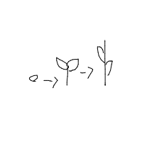 plant growing timelapse drawing by tt13-0241021 in Artbitrator