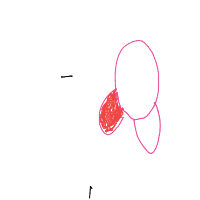 kirby drawing by catnapper in Artbitrator