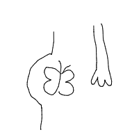 butterflies in stomach drawing by nobody in Artbitrator