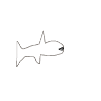 great white shark drawing by maya48444 in Artbitrator