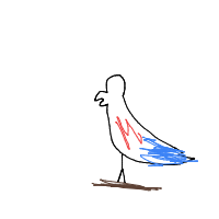 parrot drawing by maya48444 in Artbitrator