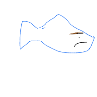 grumpy fish drawing by mahmoudsh in Artbitrator