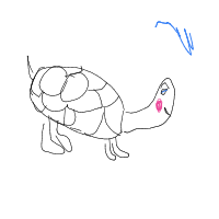 shy turtle drawing by elise in Artbitrator